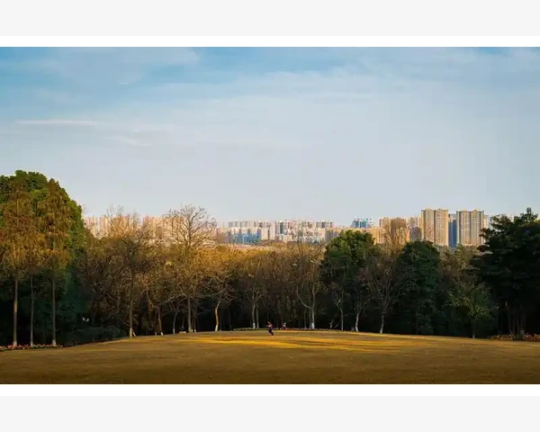产后补气血，中医汤品助您恢复元气焕发